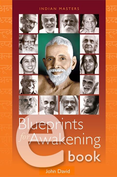 eBook Vol. 1+2 Blueprints for Awakening