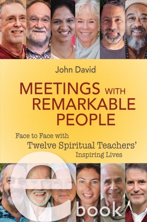 eBook Meetings with Remarkable People