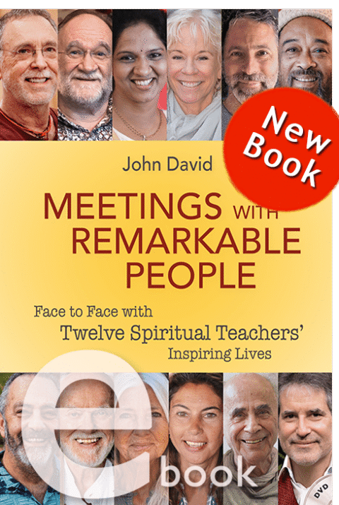 eBook Meetings with Remarkable People