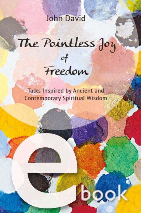 eBook The Pointless Joy of Freedom